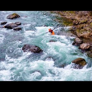 Meet your Posher, William